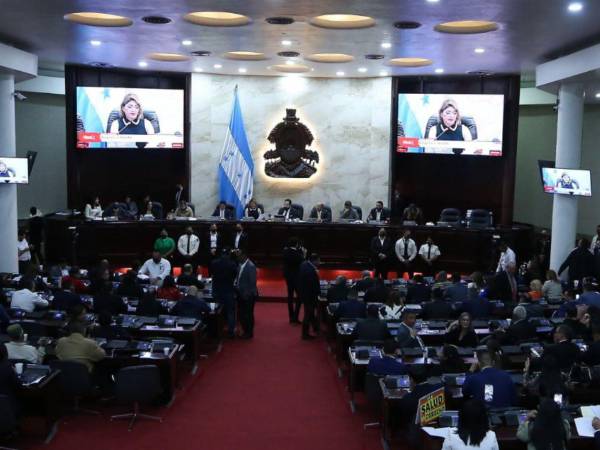 Sesión legislativa este martes 29 de julio en el Congreso Nacional.