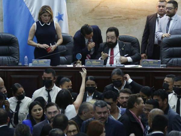 Última sesión legislativa en la que no se discutió la renuncia de la consejera electoral Ana Hall.