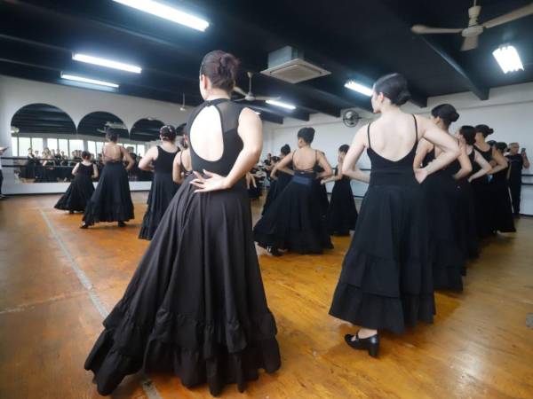 La Academia de Bellas Artes de San Pedro Sula, bajo la dirección de Ana Lucía Ruíz, recibió la visita de la Compañía de Danza Flamenca Rocío Pozo, quienes llevaron su arte español con el objetivo de enseñarlo a las estudiantes del centro de enseñanza sampedrano.