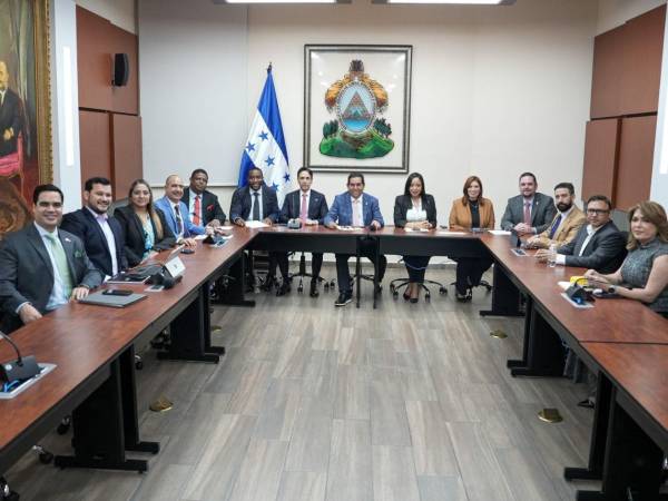 Los integrantes de la Comisión Especial de Selección serán los encargados de hacer los filtros para llevar los mejores candidatos al CNE y TJE al pleno del Congreso Nacional.