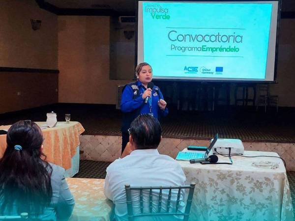 Diez emprendedores del proyecto <b>Impulsa Verde</b> participaron en un dinámico taller que busca potenciar sus marcas.