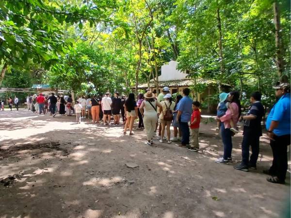 Turistas de diferentes municipios de Honduras hacen fila para ingresar al Parque Arqueológico de Copán durante el Feriado Morazánico.
