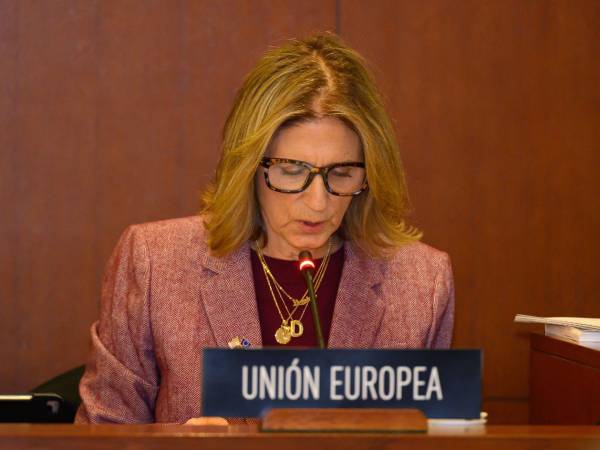 Despina Manos, representante alterna de la Unión Europea ante la OEA.