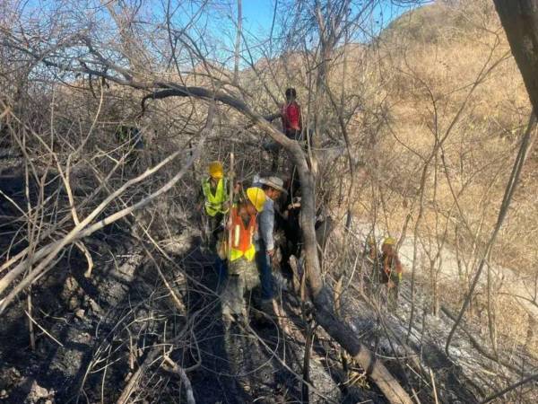 Durante siete días, las llamas avanzaron sin tregua sobre el caserío El Volcán y la aldea de San Jerónimo, en Piraera, Lempira. El incendio, el primero de gran magnitud en zona de sembrada con robles y pinos, en lo que va del año, obligó a la intervención del 17 Batallón de Infantería para lograr su sofocación.