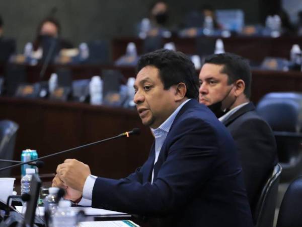 <b>El diputado por Libre en Cortés, Ramón Barrios, encabezará la comisión.</b>