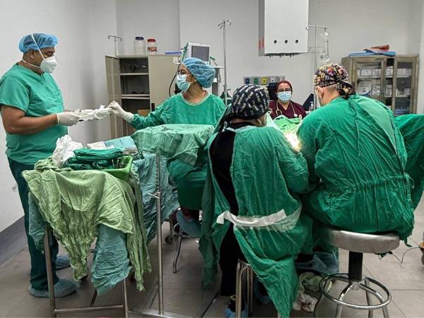Sesal informó que 1,854 cirugías electivas se han realizado para reducir la mora quirúrgica en hospitales públicos.