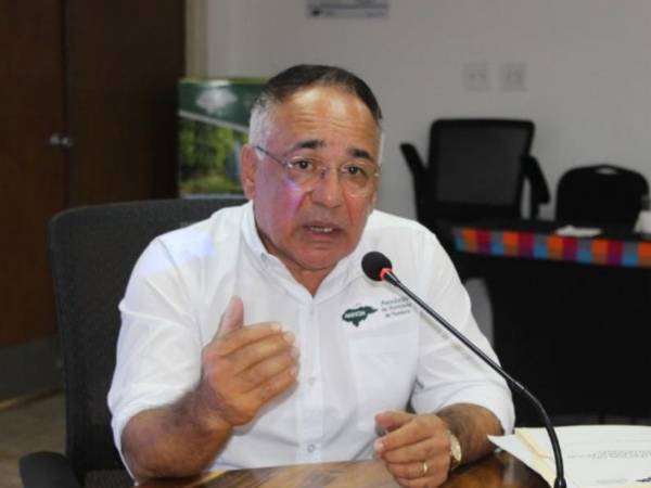 Nelson Licona se desempeña como director ejecutivo de la Asociación de Municipios de Honduras.