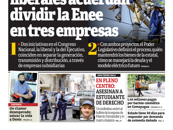 Nacionalistas y liberales acuerdan dividir la Enee en tres empresas