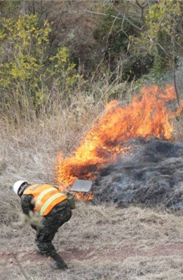 Estados Unidos también se sumó a las labores.