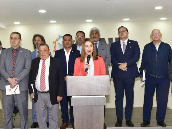 El pleno de consejeros del Consejo Nacional Electoral (CNE) conoció la propuesta de reforma a la Ley Electoral presentada por una comitiva de exautoridades del antiguo TNE, TSE y CNE el 23 de julio de 2026.