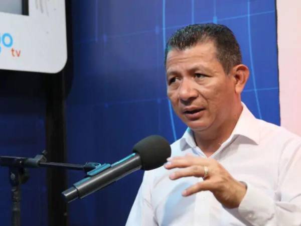 La Constitución de la República, en su artículo 213, establece que los diputados al Congreso Nacional tienen iniciativa de ley, al igual que el presidente de la República por medio de los secretarios de Estado.