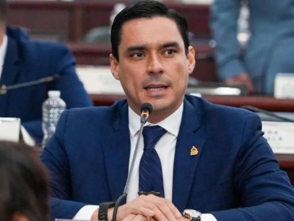 Kilvett Bertrand, diputado de la bancada del Partido Nacional, durante una sesión legislativa.