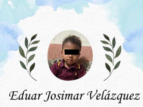 Según versiones preliminares, el menor no tuvo oportunidad de ponerse a salvo durante el ataque de los caninos.