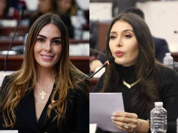 La diputada del Partido Liberal de Honduras (PLH), Iroshka Elvir, reaccionó a la polémica generada en torno a la repetición de elecciones en el municipio de Guanaja, departamento de Islas de la Bahía, y cuestionó a quienes ahora denuncian irregularidades en ese proceso.