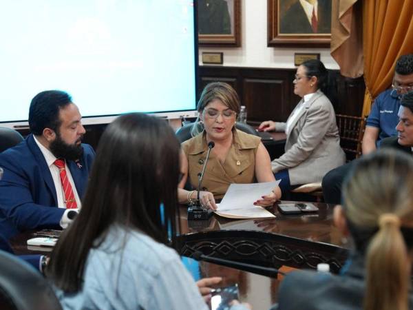 Analistas señalan que la comisión permanente del Congreso Nacional podría ser utilizada para inhabilitar a funcionarios.