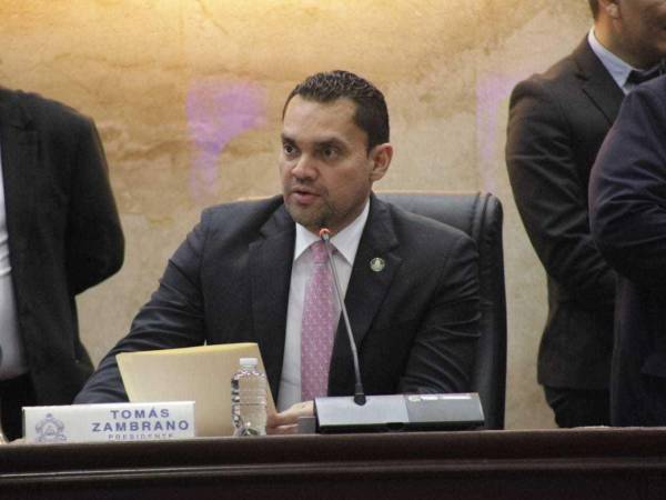 Tomás Zambrano, presidente del Congreso Nacional, informó que pedirán a la Comisión de Energía que se reúna con la Cree y la Enee y puedan rendir un informe.