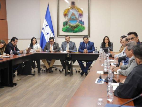 Reunión de la Comisión de Energía del Congreso Nacional, personeros de la Secretaría de Energía y la Empresa Nacional de Energía Eléctrica (Enee).