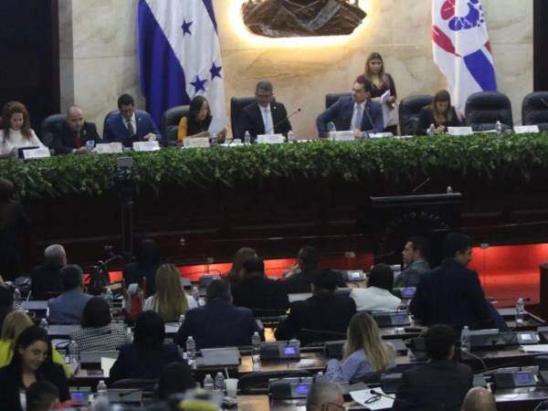 El CNA considera que las reformas electorales deben ir más allá de cambios a plazos, quórums y sanciones y abordar la independencia de las instituciones que administran las elecciones.
