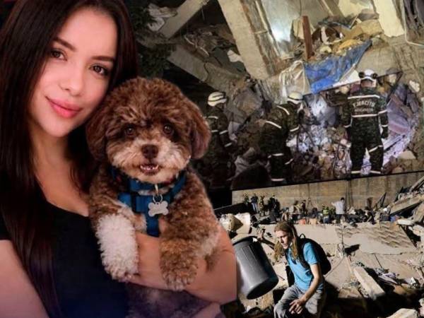 Abogada muere abrazando a su perrito durante el terremoto en Colombia