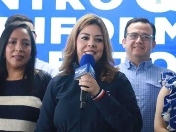 Mejía señaló que existen mecanismos constitucionales para resolver una eventual ausencia de declaratoria