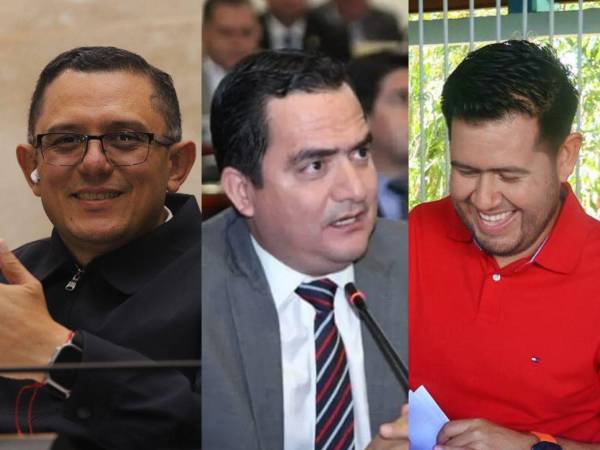 El Consejo Nacional Electoral (CNE) emitió el pasado martes 30 de diciembre la declaratoria final de las elecciones generales 2025 en el nivel de diputados. En el departamento de Santa Bárbara, que aporta nueve representaciones al Congreso Nacional, ellos fueron los que resultaron electos: