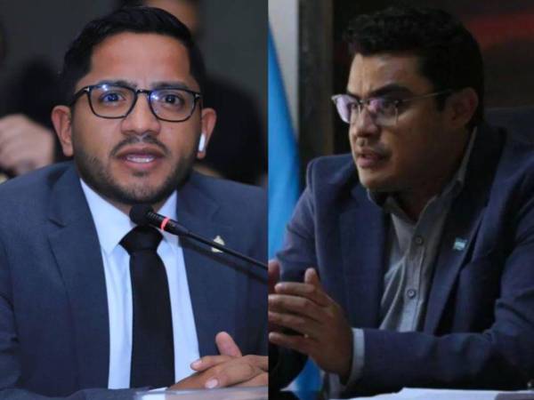 El congresista afirmó que las opiniones del exvicecanciller solo alimentan la narrativa de supuestas divisiones dentro de Libre.