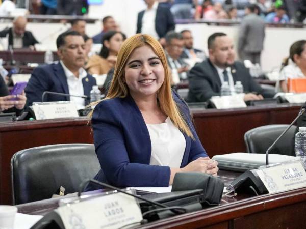 Ileana Velásquez, diputada del Partido Nacional por Choluteca, fue quien presentó la iniciativa ante el pleno del Congreso Nacional.