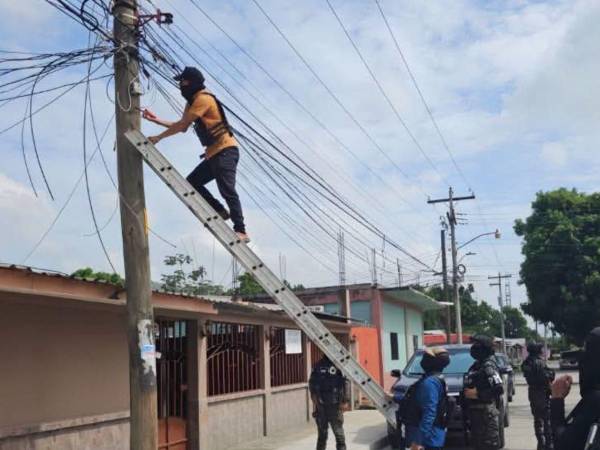 Las autoridades indicaron que con el retiro de estos dispositivos se logró neutralizar el mecanismo de vigilancia utilizado por las estructuras criminales.