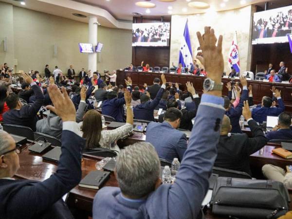 La Comisión de Familia convocará al Ministerio Público, la Policía Nacional, ARSA, la DPI y otras instituciones para analizar denuncias sobre la promoción de abortos mediante redes sociales y plataformas digitales.