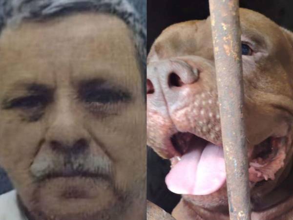 La Dirección de Medicina Forense del Ministerio Público confirmó este jueves que Alex Alfonso Maldonado Bonilla, de 75 años, murió de manera accidental a consecuencia de las mordeduras de su perro Zeus, caso ocurrido el pasado lunes 21 de septiembre en la colonia Hato de Enmedio, en Tegucigalpa.