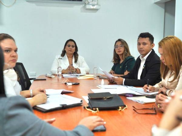 La comisión ha venido trabajando de manera previa en la construcción de instrumentos jurídicos para endurecer los castigos y proteger a las víctimas.