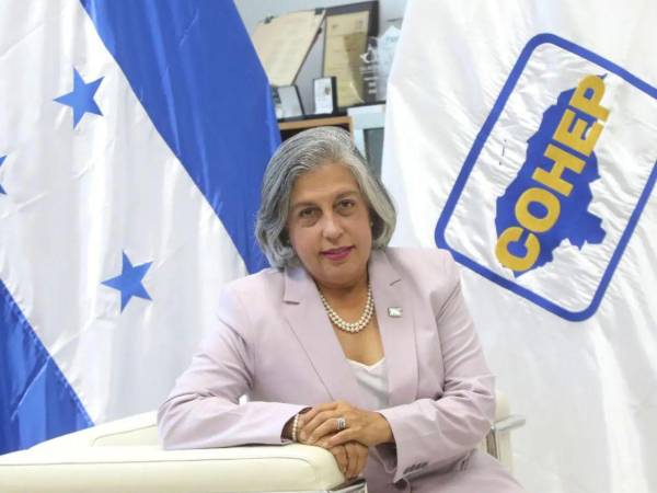 Anabel Gallardo indicó que las empresas y los hogares necesitan un suministro continuo, de calidad y con tarifas competitivas.