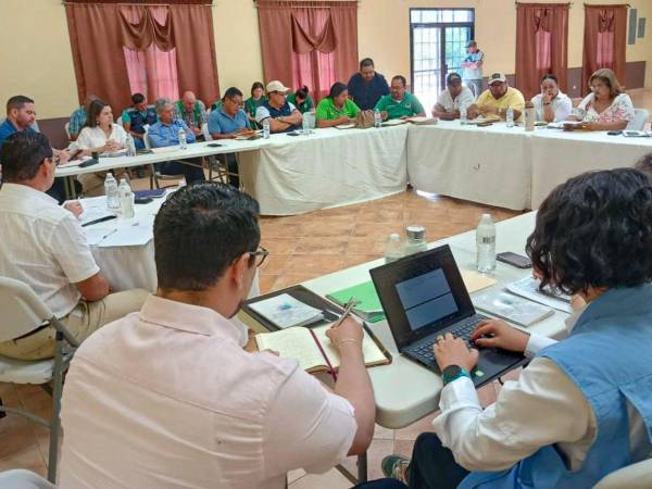 La participación de estas organizaciones permitió abordar diferentes aspectos relacionados con los mecanismos de protección y la coordinación entre los sectores involucrados.