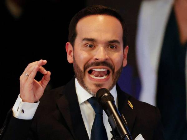 Le pido como presidente electo a las fuerzas armadas de la República de Colombia que cumplan con su juramento de proteger la Constitución y la democracia, manifestó Abelardo de la Espriella en sus redes sociales.