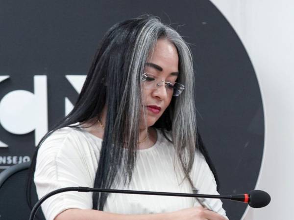 Gabriela Castellanos indicó que el Congreso Nacional no solo evaluará perfiles, sino que tendrá en sus manos la responsabilidad de devolver la confianza ciudadana en el sistema electoral.
