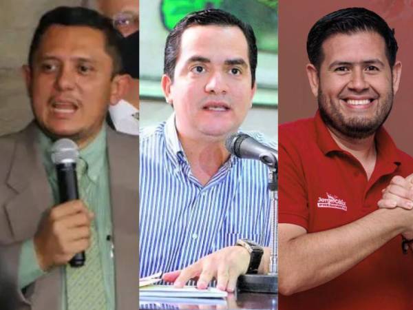 Rostros conocidos encabezan la elección de diputados en el departamento de Santa Bárbara, de acuerdo con los resultados divulgados este martes por el Consejo Nacional Electoral (CNE). Algunos están logrando la reelección.