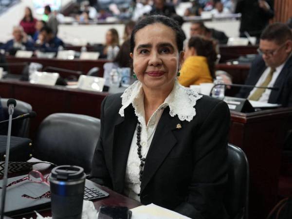 Luz Ernestina Mejía es diputada del Partido Liberal por el departamento de Francisco Morazán.