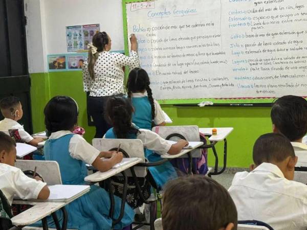 La Secretaría de Educación evalúa la infraestructura y las condiciones de los establecimientos que participarán en el plan piloto previsto para 2027.