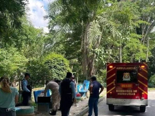 La Policía Nacional rescató a una bebé recién nacida que fue abandonada por su madre en un parque de la residencial Las Cascadas, en Choloma.