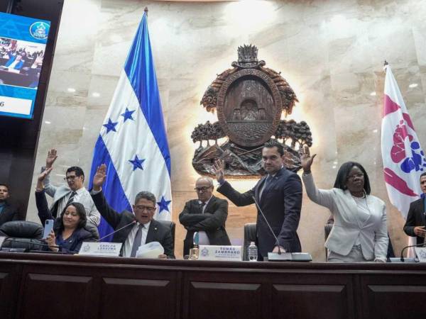 Nueve horas duró la sesión del Congreso Nacional en la que se destituyó a cuatro funcionarios electorales: Marlon Ochoa (CNE), Mario Morazán (TJE) y los suplentes Lourdes Estapé (TJE) y Gabriel Gutiérrez (TJE).