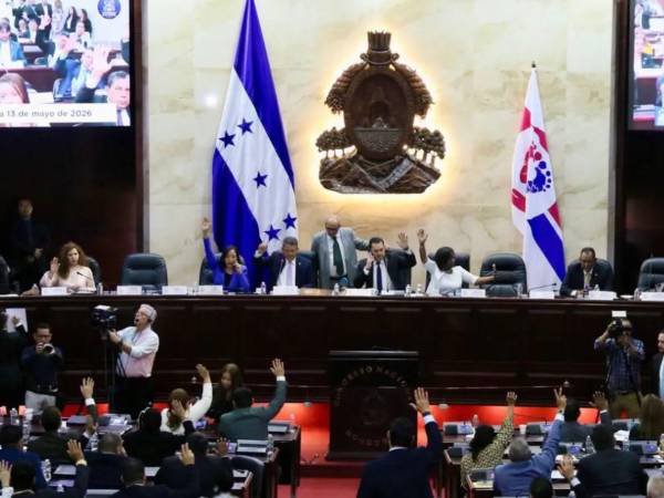 La falta de acuerdos entre las bancadas mantiene detenida la votación final de la reforma que busca, según el oficialismo, fortalecer las finanzas de la Enee.