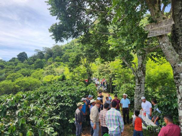 La cita internacional reunirá a representantes de 77 países para discutir innovación, sostenibilidad y retos del mercado.