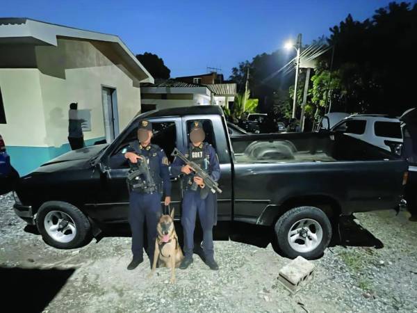 Agentes de la Dirección Nacional de Servicios Policiales Fronterizos y equipos caninos realizaron la inspección del vehículo en el que transportaban los 44 kilos de cocaína.