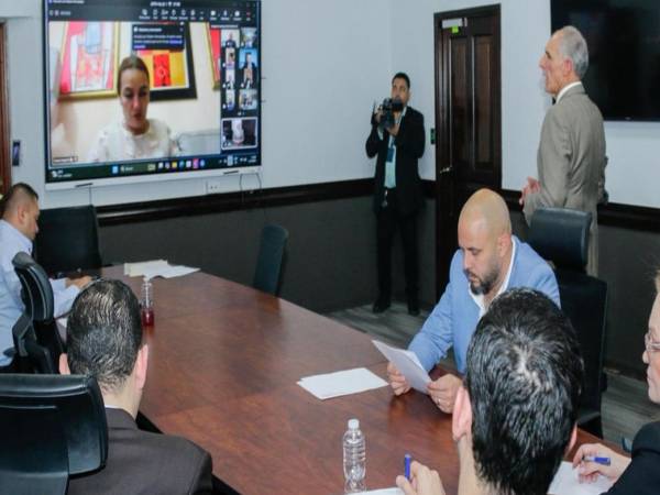 Esta oficina estará a cargo de un comisionado presidencial con rango de secretario de Estado.