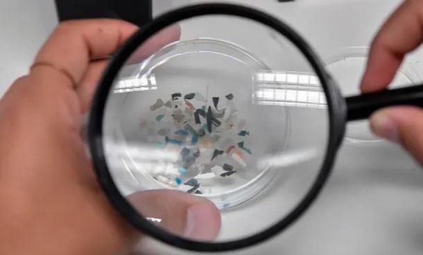 Comemos en microplásticos el equivalente a una tarjeta de crédito a la semana