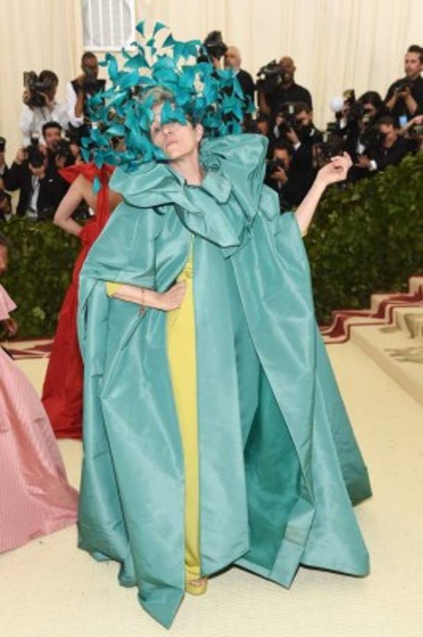 La ganadora del Oscar, Frances McDormand, sorprendió en la alfombra roja con un Valentino que evocaba a la madre naturaleza. El exhuberante atuendo forma parte de la colección primavera-verano 2018 de alta costura de la casa italiana.