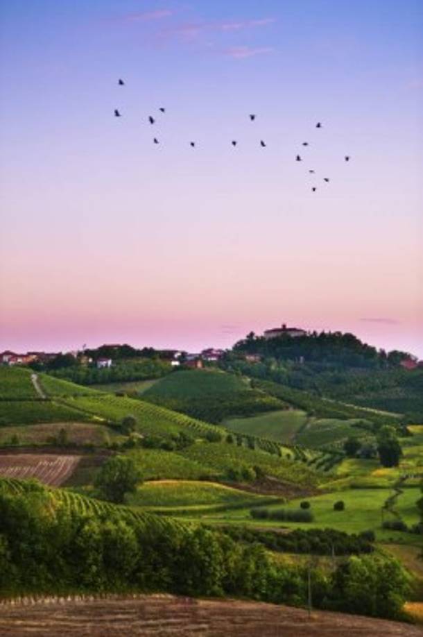 Toscana, Italia. Sus colinas de viñedos cultivadas desde hace siglos atraen a los turistas.