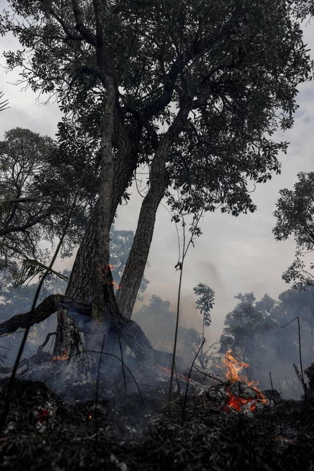Además de los eventos climáticos, la reducción de la disponibilidad de agua en el bioma ha sido impactada por la construcción de represas y carreteras, la deforestación y los incendios. 