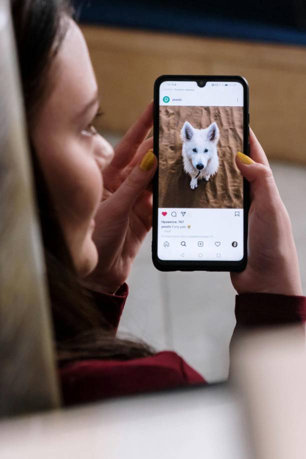 Según Statistica, los perfiles de Instagram de las mascotas más populares superaban los 35 millones de seguidores, un dato que ha ido en aumento. En la actualidad, las cuentas más seguidas suman 42,4 millones de usuarios.