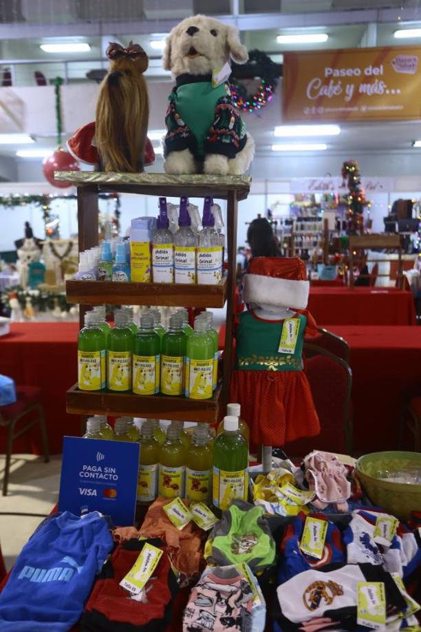 Todo para el cuidado de su perro. El consentido de la casa.